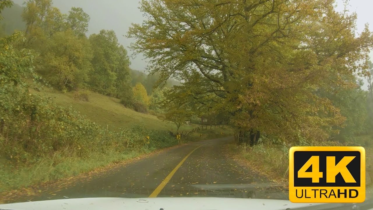 Driving from Pucon to Huife | Autumn | Pucon 🇨🇱 Chile | 4k 60fps