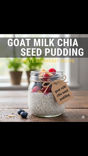 Goat Milk Chia Seed Pudding Recipe 🥰✨ #lifeisbutadream