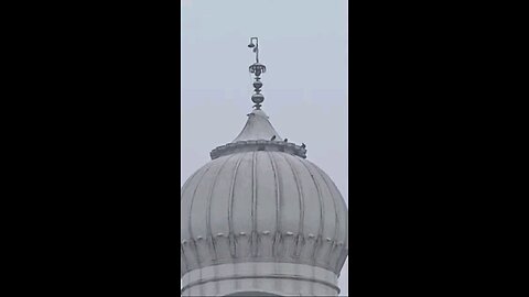 satisfying Video