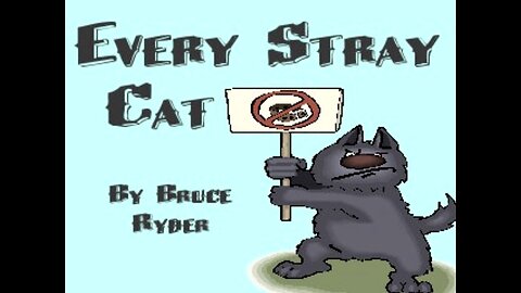 Every Stray Cat