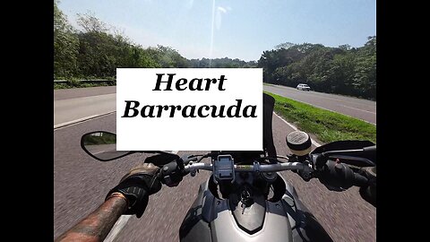 Heart - Barracuda