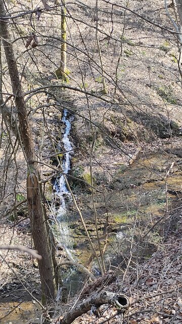 Little waterfalls coming out of the ground