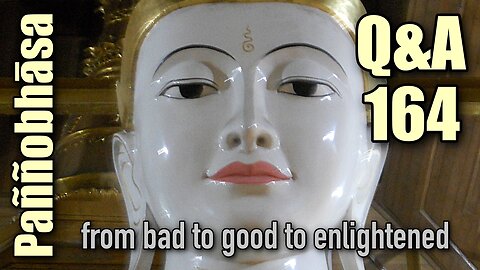 Question & Answer #164: from Why I Am Still a Buddhist to a Resurgence of Christianity in the USA