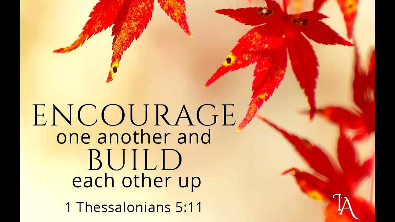 WHEN PEOPLE FAIL EACH OTHER - DAILY DEVOTIONAL ❤️