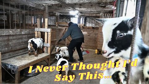 I'm DONE With GOATS Forever!