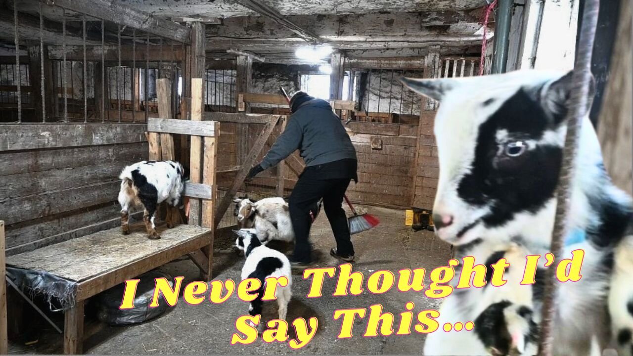 I'm DONE With GOATS Forever!