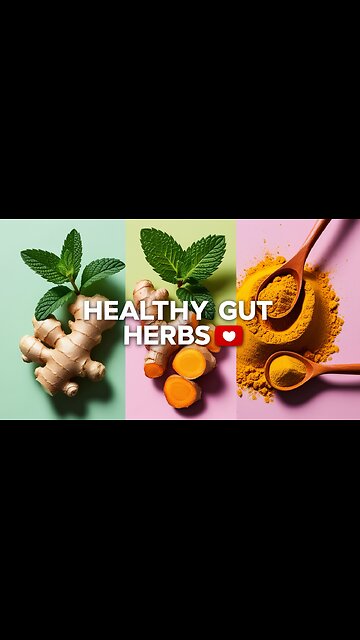 3 Doctor-Approved Herbs for a Healthy Gut 🌿💚 Dr. Sethi #Shorts