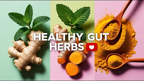 3 Doctor-Approved Herbs for a Healthy Gut 🌿💚 Dr. Sethi #Shorts