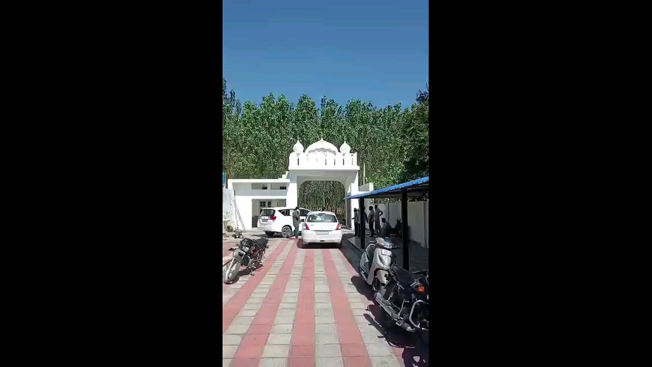 satisfying Video