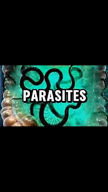 Natural antibiotics for Parasites