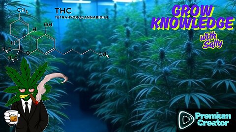 [PrEeEmium Creator] Grow Knowledge with Salty!