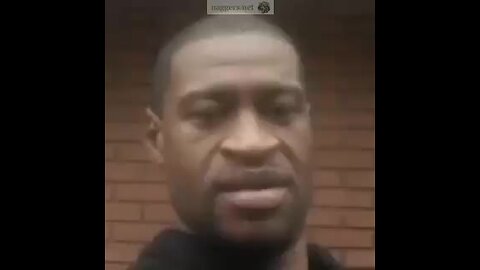 NFTV Ep 3 | Mud Shark Monday