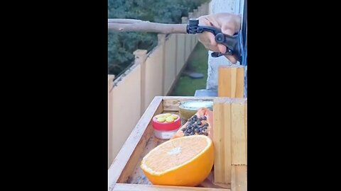 Breakfast. . . . It's For The Birds