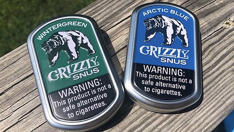 Grizzly Mint & Wintergreen (US "Snus") Review