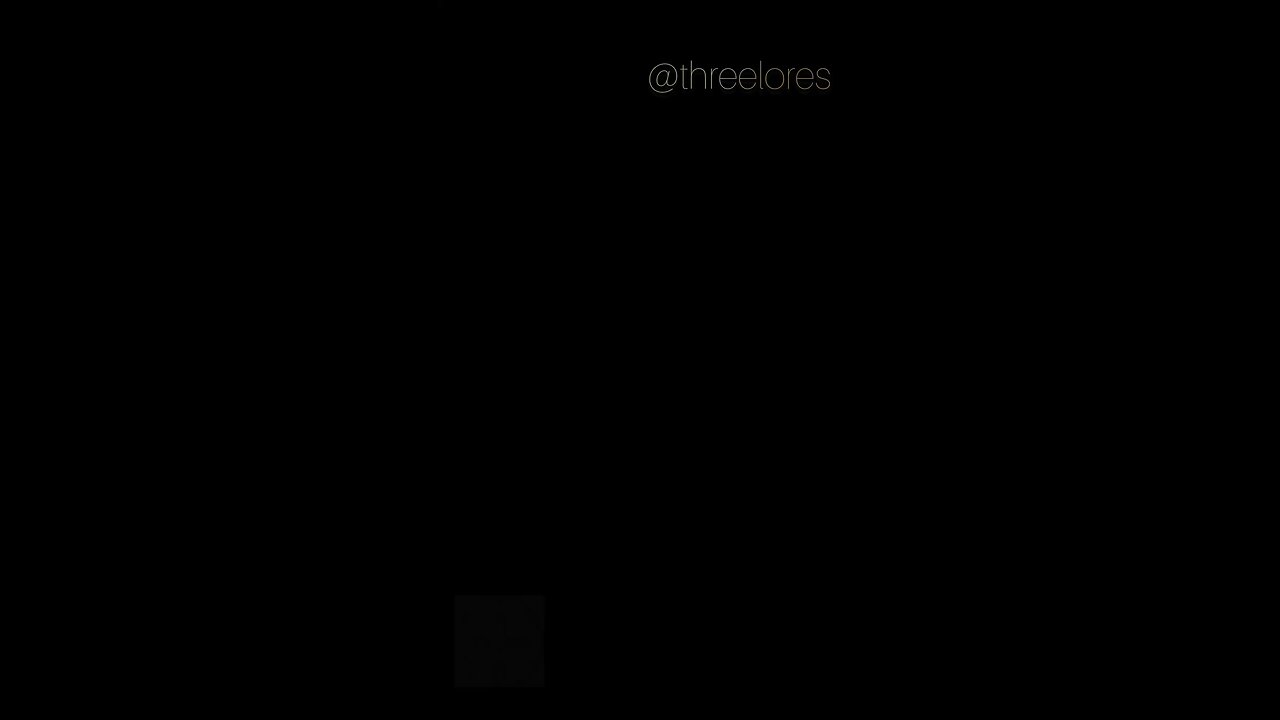 Shrew - Spirit Animal