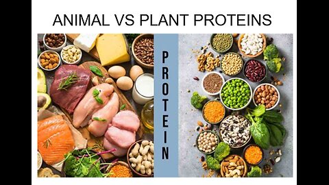 EP39 - comparing animal and plant protein