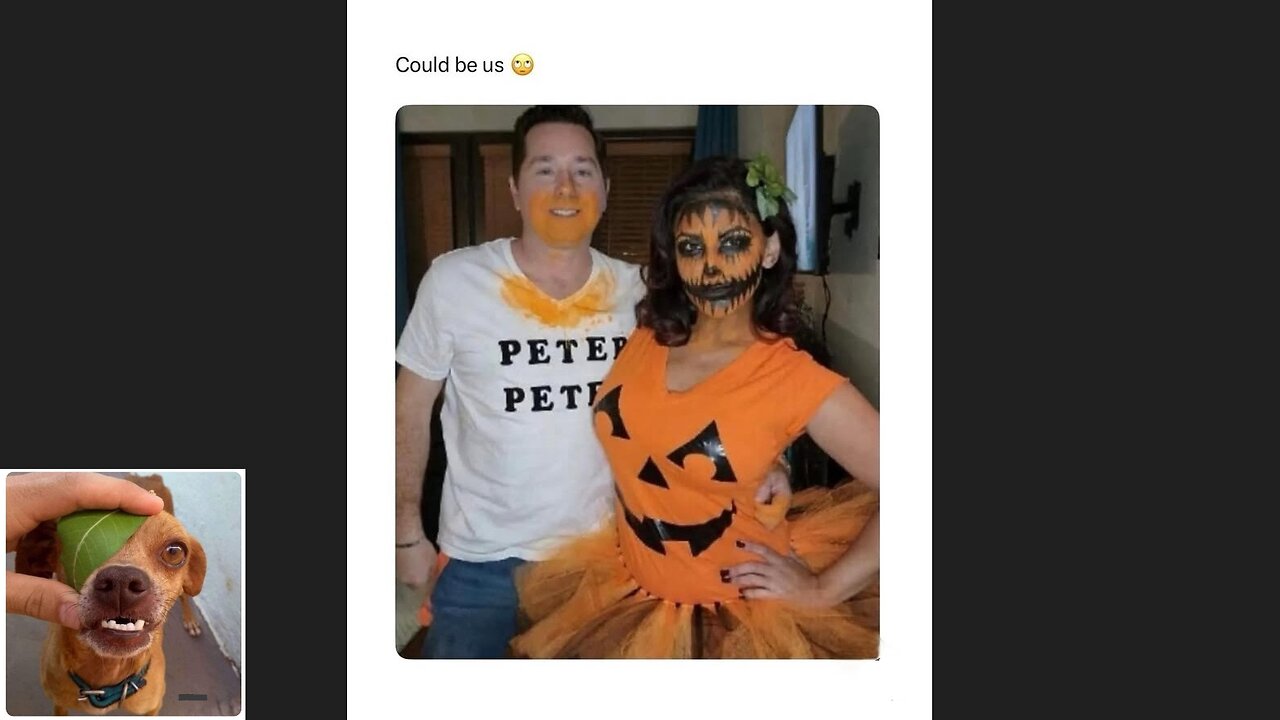 Memes That Will 99.0391% Make You Laugh. (e615)