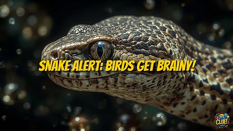 Evolutionary Arms Race: How Snakes Reshape Bird Brains