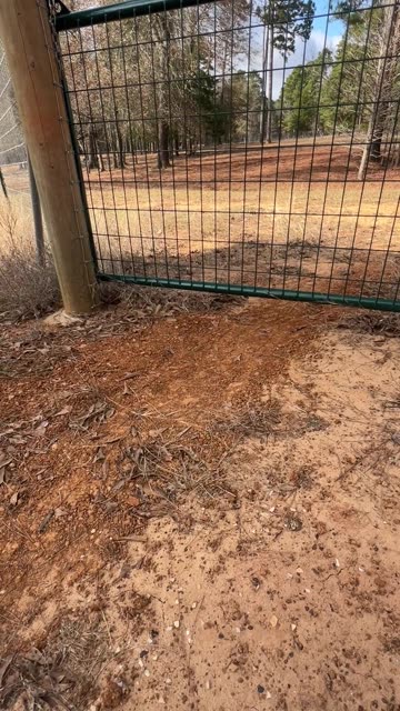 It's a never ending challenge to protect our animals