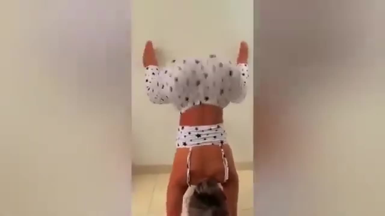 Sexy Ghetto Ratchet Twerking Awuu