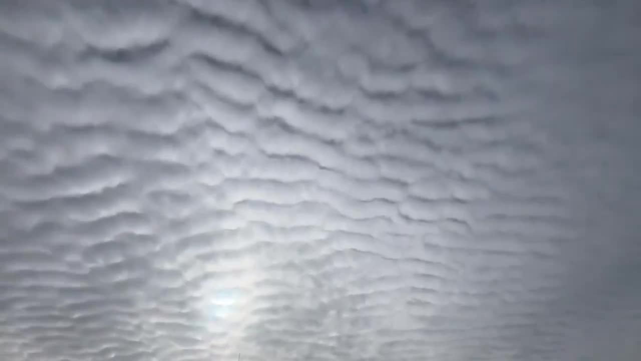 The evidence of the massive amounts of damaging frequency continues!