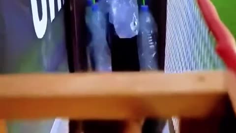 Here is how we are training a smart, agile, and strong K9 Malinois dog to serve in the military