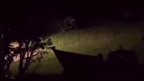 😨👻 #horrorvideos #paranormalactivity #scary #scared #demon #jumpscare #p... | TheHauntingHour