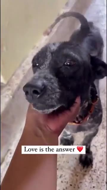 Love is the answer ❤️