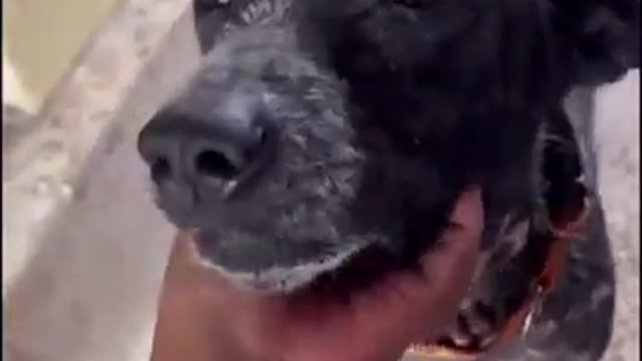 Love is the answer ❤️