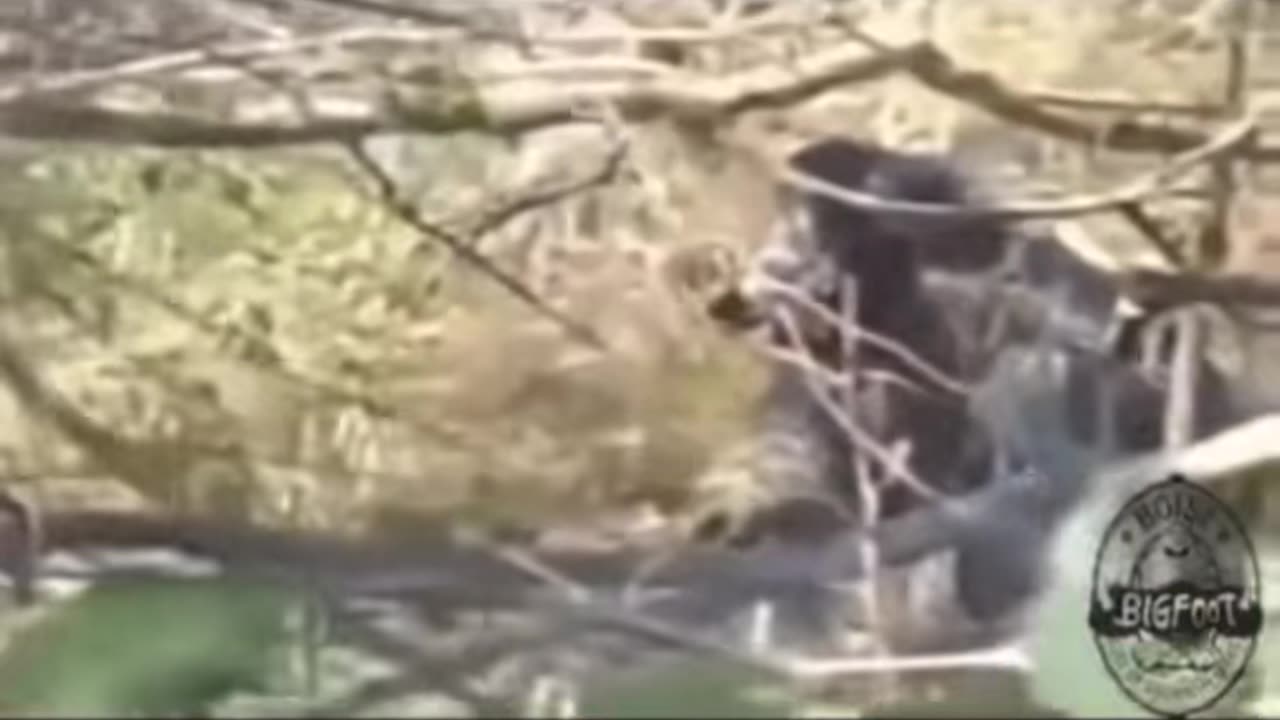 😱🐺 Wolfman Spotted in Broad Daylight! | TheHauntingHour
