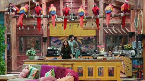 BigBoss 19E17