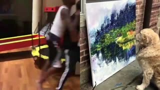 A Story In 2 Pictures