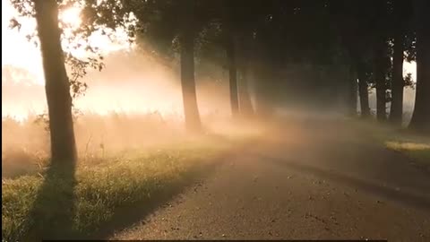 Daily Horoscope | Leo 🌟