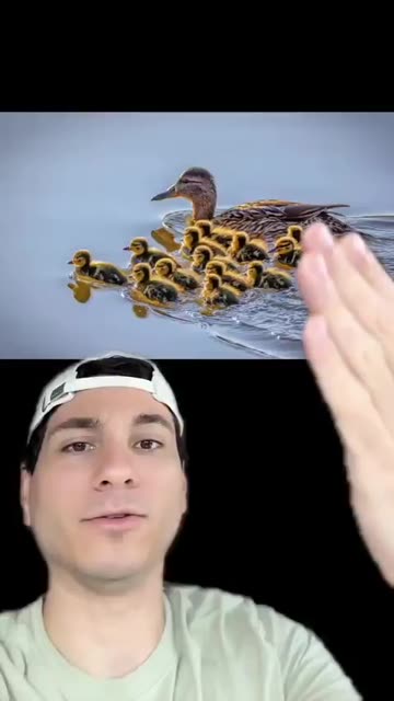 This will trigger every feminist