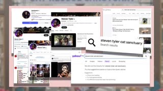 Fact Check: Steven Tyler Did NOT Start a 'Whiskers & Wings' Cat Sanctuary