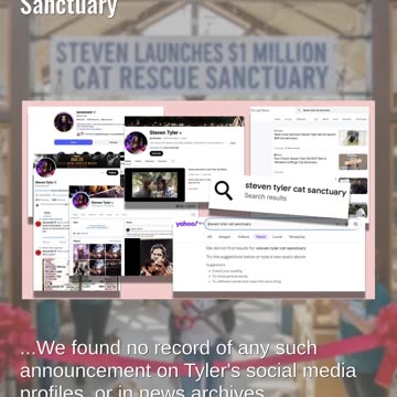 Fact Check: Steven Tyler Did NOT Start a 'Whiskers & Wings' Cat Sanctuary