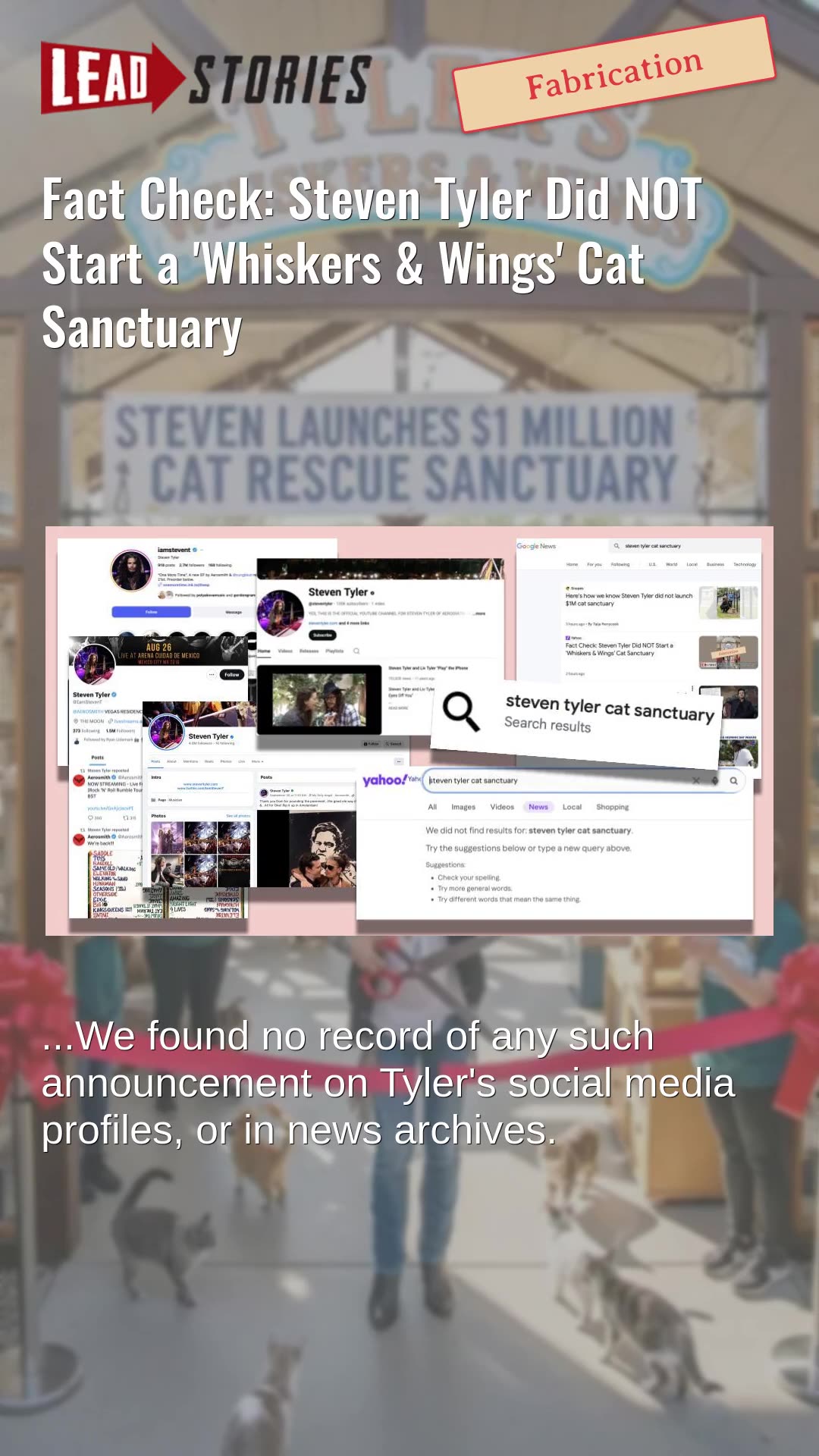 Fact Check: Steven Tyler Did NOT Start a Whiskers & Wings Cat Sanctuary