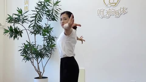 0343.肩頸腰背內勁訓練