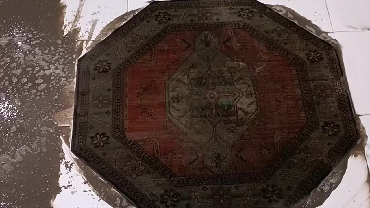 🤩🤩🤩🤗🫡