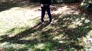 Orange Branch Form #martialarts