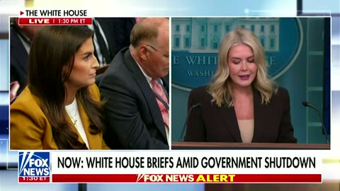 Leavitt busted on blame for shutdown layoffs: 'Wouldn't that be the president's call?'