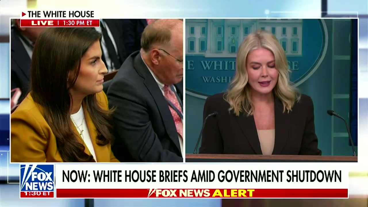 Leavitt busted on blame for shutdown layoffs: 'Wouldn't that be the president's call?'