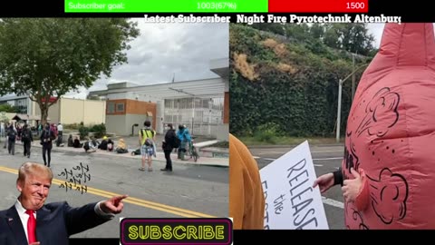 CHAOS IN PORTLAND: Feds Fire TEAR GAS, Arrest Protesters Outside ICE Facility
