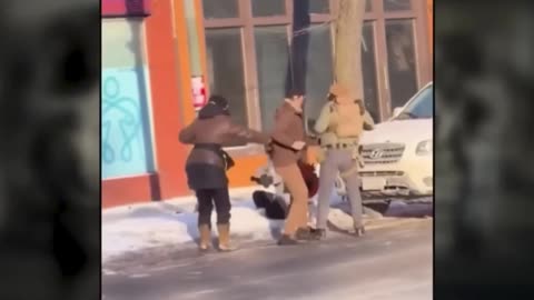 Alex Pretti interfering with Border Patrol agents