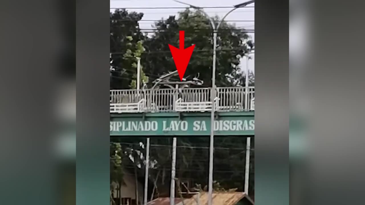 Ghost follow ps this person across the bridge || Redpill Theorist