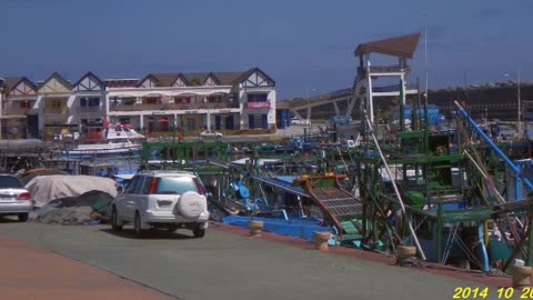 14_1028 想妳_芝麻龍眼