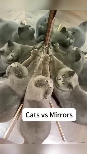 When the #1 enemy is the one in the mirror 😂😂😂