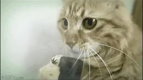 Simp Jizzkit - Slob Knobbinson [FedPilled Nu-Metal "slob on my knob" re-make]