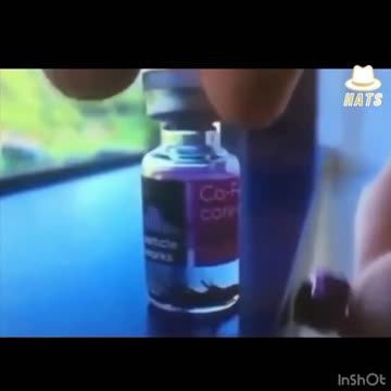 PROOF MAGNETICS GRAPHINE IN VXXX