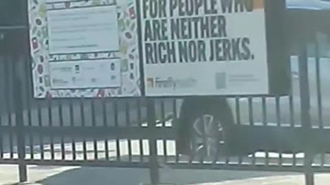 Rich Jerk Health Insurance Advertisement